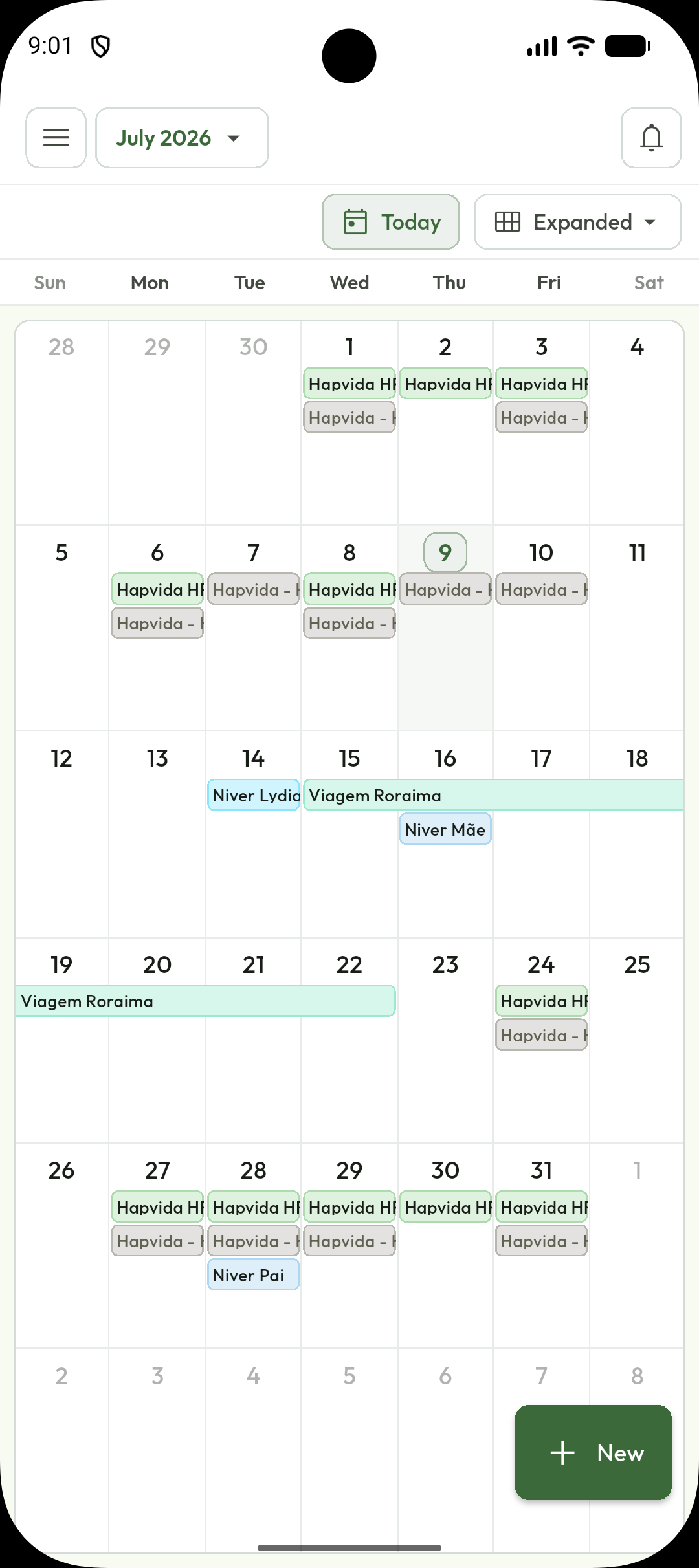 Calendário mensal do Plantão Top com plantões e compromissos organizados por dia